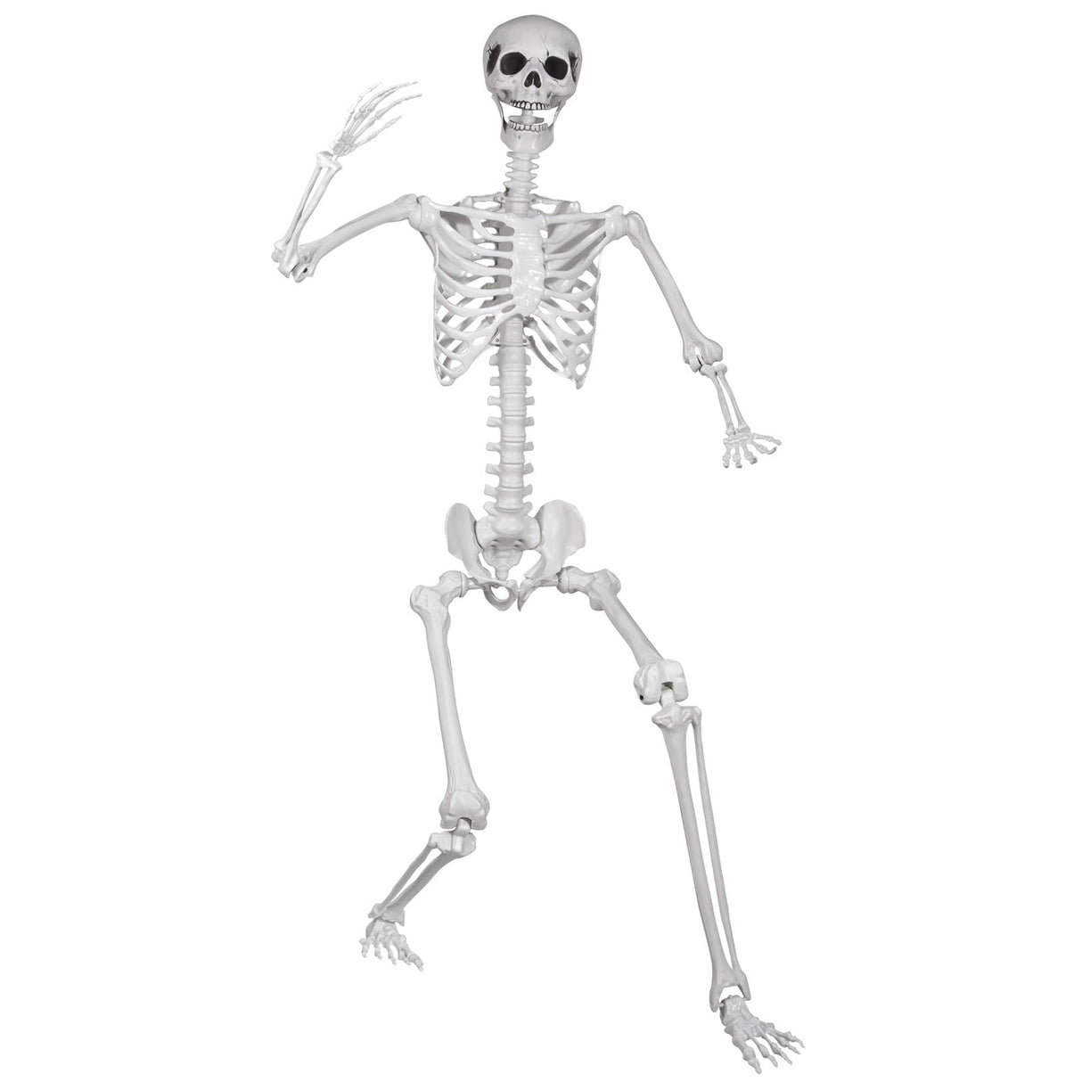 LaLamona 5.9ft/180cm Posable Halloween Skeleton, Life Size Skeleton Bones with Movable Joints for Halloween Graveyard Haunted House Spooky Scene Decor, 1pc