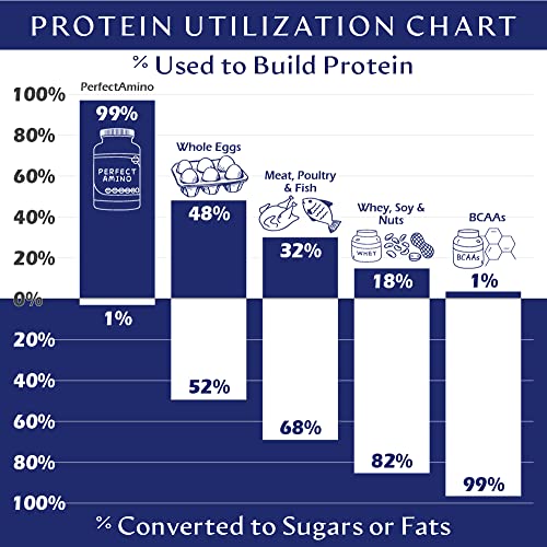 BodyHealth PerfectAmino Powder Strawberry (60 Serving) Best Pre/Post Workout Recovery Drink, 8 Essential Amino Acids Energy Supplement with 50% BCAAs, 100% Organic, 99% Utilization