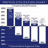 BodyHealth PerfectAmino Powder Strawberry (30 Serving) Best Pre/Post Workout Recovery Drink, 8 Essential Amino Acids Energy Supplement with 50% BCAAs, 100% Organic, 99% Utilization