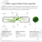 HCF A20 Microbead Brain Health Supplements for Adults for Memory, Focus, Calm, Mood, Alertness, Attention, Vision, Sleep, Immune System, 20 Premium Nootropic Nutrients Multivitamin & 7 Advances® Tech