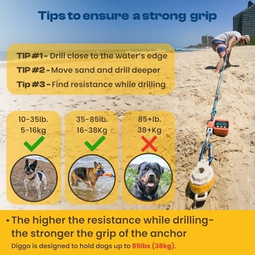 Diggo Dog Stake Beach Anchor - Dog Beach Essentials for All Dog Sizes - Unique 360° Head Rotating Combination Beach Lock System, Heavy Duty Tie Out Stake, Umbrella Sand Anchor, Designed for The Beach
