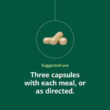 Standard Process Inc. Congaplex, Thymus Gland Support Supplement, Support Immune Health with Calcium Lactate, Magnesium, Vitamin C & Vitamin A, Immune System Aid with Mushroom Powder - 90 Capsules