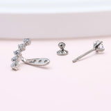 Limerencia F136 Hypoallergenic Pure Titanium Earrings for Women