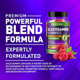 Glucosamine Gummies with Vitamin E - Advanced Joint Support Gummy Supplement, High Potency Antioxidant & Inflammatory Response, Comfort for Back, Knees, Hands, Non GMO, 120 Extended Delivery Gummies