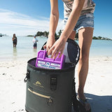 Arctic Ice Tundra Series Long Lasting Reusable Ice Pack - 5° Fahrenheit Cooling Point - Designed to Maintain Freezer-Like Temperatures in Coolers