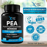 Palmitoylethanolamide Pea Supplement 600 mg | Micronized Pea 99% Highly Purified and Bioavailable | Made in USA | Supplement for Men and Women - 120 Capsules