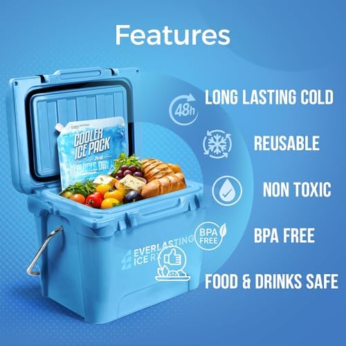 Everlasting Ice RX Reusable Ice Packs for Cooler (4 Pack) Up to 48 Hours Freezer Packs for Coolers and Lunch Boxes | 10 x 10 in | Cooler Ice Packs for Camping, Fishing, Beach, Road Trips