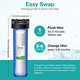 SimPure 20 x 4.5 inch 5 Micron Big Whole House Water Filter | CTO Activated Carbon Filter Replacement Cartridge Coconut shell Charcoal Filter | Matches DB20P, FC25B, CTO20BB (2 Pack)