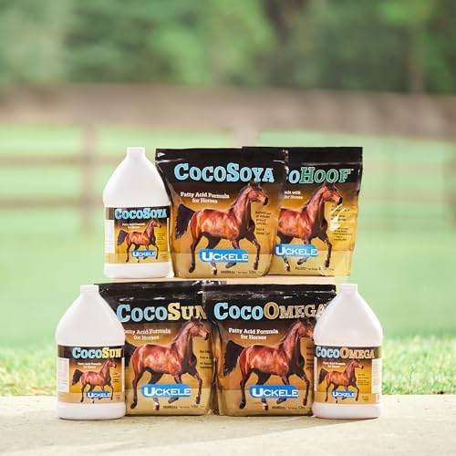 Uckele by SmartEquine CocoSoya Oil | Oil for Skin and Coat | Contains Soybean and Coconut Oil for Overall Coat Shine and Horse Health | Nourishing Fatty Acids for a Lustrous Appearance | 1 Gallon
