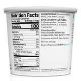 siggi's® Icelandic Strained Nonfat Yogurt, Plain, 24 oz. Multiserving Container – Thick, Protein-Rich Yogurt Snack