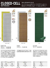 Therm-a-Rest Z Lite Sol Camping and Backpacking Sleeping Pad