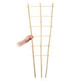 SWANGSA 6 Pack 3Ft Bamboo Trellis for Climbing Plants,35.5 Inch Fan-Shaped Bamboo Plant Trellis with 100pcs Twist Ties for Outdoor and Indoor Potted Plants Garden Stakes