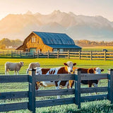 Goovilla 6x6 Post Caps Black(Actual 5.5" x 5.5"), 8 Pack Fence Post Caps with 16 Screws and Easy Installation, Sturdy Waterproof Plastic Deck Post Caps with Frosted Finishing Touch, Protect Wood Post