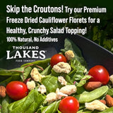 Thousand Lakes Freeze Dried Vegetables - Cauliflower Florets and Stems 2-pack 0.8 ounces (1.6 ounces total) | No Salt Added