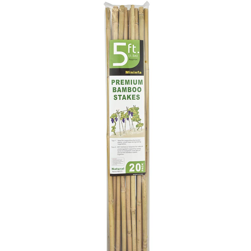 Mininfa Natural Bamboo Stakes 57 Inch (Approx 5 FEET), Eco-Friendly Garden Stakes, Plant Stakes Supports Climbing for Tomatoes, Trees, Beans, 20 Pack