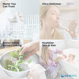 Aquasana EQ-304 Replacement 10-Inch, Sediment Pre-filters for Whole House Water Filter Systems, White, 4 Count (Pack of 1)