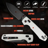 Vosteed EDC Knife, Lightweight Folding Pocket knife with Clip for Men and Women, Sharp Crossbar Lock Knife with 3.25" Sandvik 14C28N Steel Blade, G10 Handle for Camping, Hiking - Raccoon