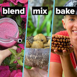 Complement Organic Unflavored Vegan Protein Powder (15 Servings) Low Carb, Low Calorie, Sugar Free, Soy Free, Non-GMO, Gluten Free, Non Dairy- Yellow Pea, Pumpkin Seed- 15g Plant Based Protein Powder