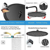 NearMoon Rain Shower Head, Ultra-Thin Design-Pressure Boosting, Awesome Some Experience, High Flow Stainless Steel Rainfall Head (10 Inch, Matte Black)