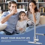 FEELSO Kitchen Faucets, Upgraded Filter Water Kitchen Faucet with Pull Down Sprayer, Brushed Nickel Stainless Steel High Arc 1 Or 3 Hole Kitchen Sink Faucet for Remove Chorine, Harmful Substances