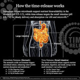 HCF A20 Microbead Brain Health Supplements for Adults for Memory, Focus, Calm, Mood, Alertness, Attention, Vision, Sleep, Immune System, 20 Premium Nootropic Nutrients Multivitamin & 7 Advances® Tech