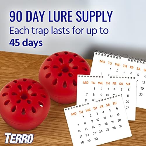 Terro Fruit Fly Traps for Indoors (6 Pack) + 270 Days of Lure Supply