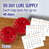 Terro Fruit Fly Traps for Indoors (6 Pack) + 270 Days of Lure Supply