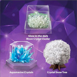 4M Kidz Labs Crystal Science