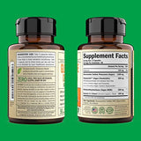 Vegan Glucosamine Chondroitin MSM - 100% Vegan Joint Support Supplement for Women & Men with Burdock and Glucosamine Sulfate 1500 mg. Used for Cartilage and Joint Health and Flexibility - 90 Capsules