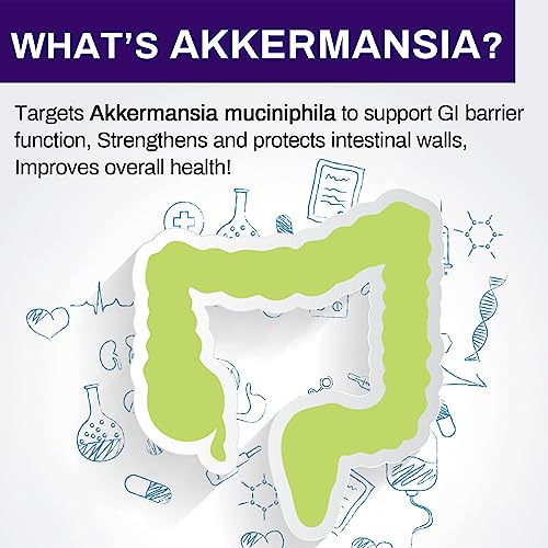 300 Billion AFU Akkermansia Muciniphila - A Live Probiotics for Women Men, for GLP-1, Probiotics for Digestive, Gut, Immune & Overall Health, Enhances Gut Digestive Lining function, 60 Capsules
