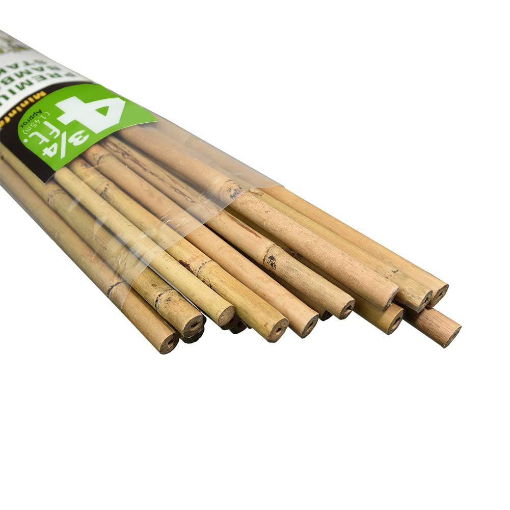 Mininfa Natural Bamboo Stakes 57 Inch (Approx 5 FEET), Eco-Friendly Garden Stakes, Plant Stakes Supports Climbing for Tomatoes, Trees, Beans, 20 Pack