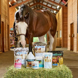 Uckele by SmartEquine CocoSoya Oil | Oil for Skin and Coat | Contains Soybean and Coconut Oil for Overall Coat Shine and Horse Health | Nourishing Fatty Acids for a Lustrous Appearance | 1 Gallon