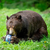 Canister for Backpacking. 4 Sizes: BV500, BV475, BV450, BV425. Bear-Resistant Food Container for Camping, Hiking, Fishing, Hunting, Bikepacking. BearVault is Bear Safe!