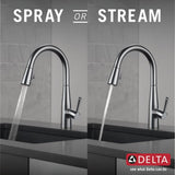 Delta Essa Brushed Nickel Kitchen Faucet with Pull Down Sprayer, Modern Single Hole Kitchen Sink Faucet, Single Handle, Arctic Stainless 9113-AR-DST