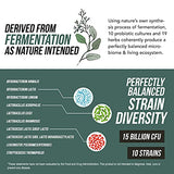 Flora Biome - Live Probiotic, Prebiotic & Postbiotic – Organic Live-Culture – 10 Probiotic Strains, 19 Fermented Herbs, 50 Billion CFU - Complete Gut Health & Microbiome Optimizer (16 oz)