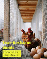 SEBOSS 36''x50' Hardware Cloth 1/2 inch 19 Gauge - Hot-dip Galvanized After Welding - Chicken Wire Fence Roll Galvanized Wire Mesh Roll Garden Fence Tree Guard Welded Wire Fencing