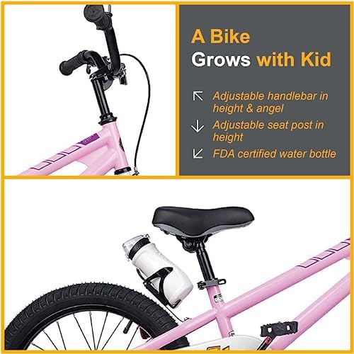 RoyalBaby Kids Bike EZ Freestyle Training Free Balance to Pedal Easy Learning Bicycle, 12-18 Inch for Toddlers to Big Kids