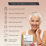 Organixx Clean Sourced Collagen Powder, Hydrolyzed Protein Powder Collagen Peptides with Vitamin C, and Types I, II, III, V, X, For Skin, Joints, Hair and Nails, Aging Support Unflavored (15 Servings)