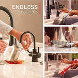 InSinkErator Stainless Steel Tank, HC250MBLK-SS HOT250 System, 2-Handle Drinking Faucet in Matte Black with 2/3-Gallon, Filter-Compatible Instant Hot/Cold Water Dispenser