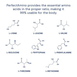 BodyHealth PerfectAmino Powder - BCAA and EAA Powder for Pre and Post Workout - Amino Acid Energy Drink for Men and Women to Support Lean Muscle and Recovery - Strawberry - 60 Servings