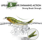 TRUSCEND Swimmax for Freshwater and Saltwater, Lifelike Fishing Lures for Bass Trout Crappie Walleye Pike Bluegill Salmon, Swimbait for Bass Fishing, Amazing Fishing Gear Gifts for Family Fishing