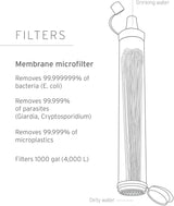 LifeStraw Personal Water Purifier for Hiking, Camping, Travel, and Emergency Preparedness