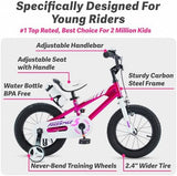 RoyalBaby Kids Bike EZ Freestyle Training Free Balance to Pedal Easy Learning Bicycle, 12-18 Inch for Toddlers to Big Kids