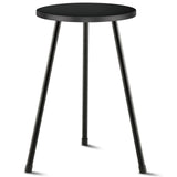 KINNARY Tall Plant Stand, Mid Century Wood Indoor Plant Stand Black Plant Table for Flower Pots, Metal Plant Holder, Modern Home Decor Small Round Side End Table (11.8"x20")