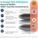 Bluevua RO100ROPOT Reverse Osmosis System Countertop Water Filter, 4 Stage Purification, Counter RO Filtration, 2:1 Pure to Drain, Purified Tap Water, Portable Water Purifier for Home