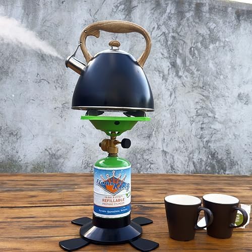 Flame King Refillable 1LB Empty Propane Cylinder Tank - Reusable - Safe and Legal Refill Option - DOT Compliant - 16.4 oz, Green