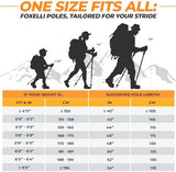 Foxelli Carbon Fiber Trekking Poles – Lightweight Collapsible & Shock-Absorbent Hiking Poles w/Cork Grips, Lever Locks & All Terrain Accessories