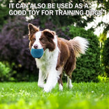 Tennis Balls, 20 Pack Training Tennis Balls,High Elasticity Practice Tennis for Beginner, Exercise Playing Balls for Pet Dog