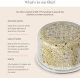 Canopy Handheld Filtered Shower Head & Scalp Massager - High Pressure Shower Head Filter for Hard Water - Reduce Impurities for Healthier Scalp, Skin & Hair - Hair Growth - Chrome