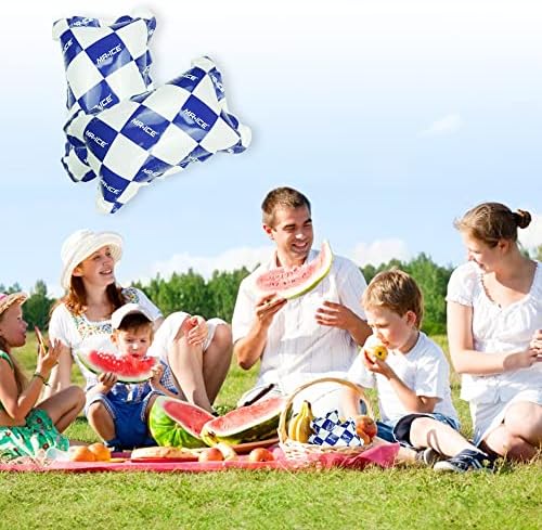 Reusable Dry Ice Packs for Shipping & Storage - Long Lasting Cold Packs for Lunch Box & Coolers - Ideal for Frozen Food & Drinks